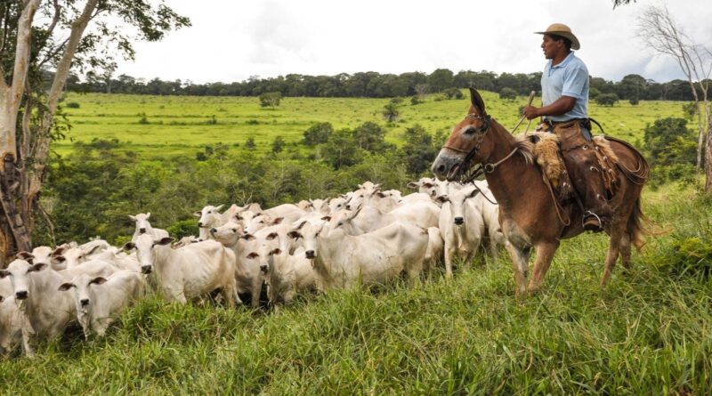 Da produtividade ao meio ambiente: IATF reduz pegada de carbono em até 49%
