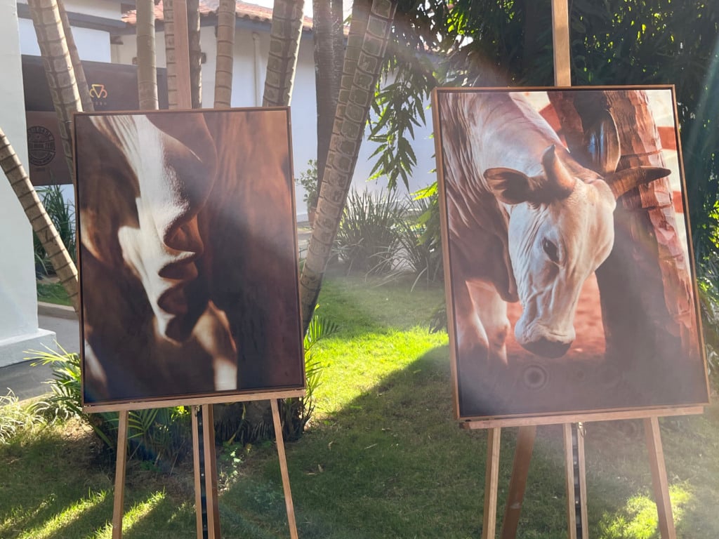 quadro de Guta Alonso na Expogenética 2025