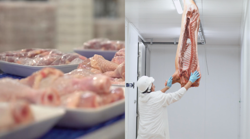 suíno, carne, frango