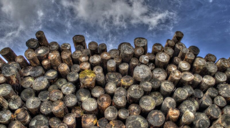 Apenas acordo com os EUA resolve crise no setor madeireiro, diz Associação