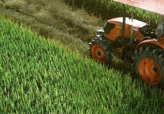 Após acidente, produtor continuou cuidando da família e da produção