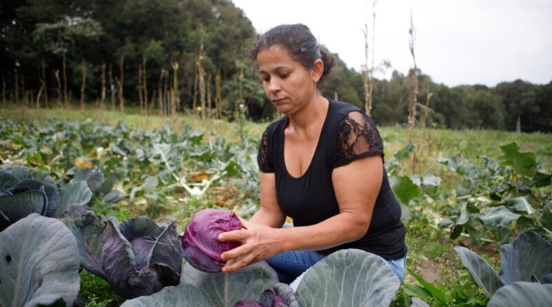 BNDES anuncia R$ 60 mi para cooperativas de agricultura familiar produzirem bioinsumos