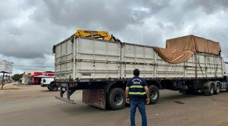 Carga apreendida cabeças de gado Pará