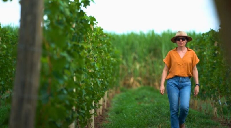 Da farmácia à granja: Carolina troca São Paulo pela avicultura
