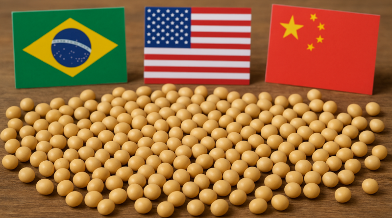 China aposta no Brasil e deixa EUA fora do mercado de soja, aponta consultoria