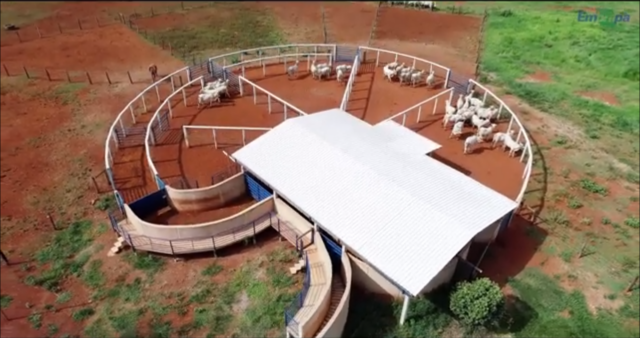 Centro de Manejo de Baixo-Estresse embrapa