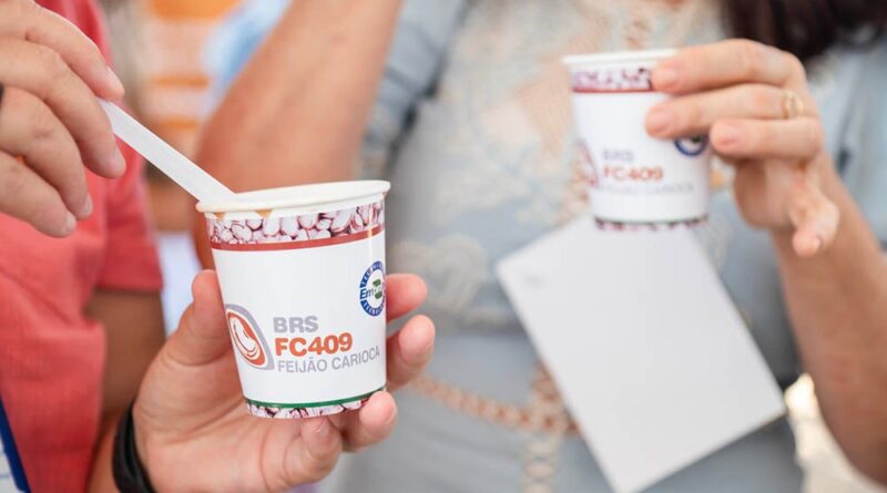 Divulgação Embrapa