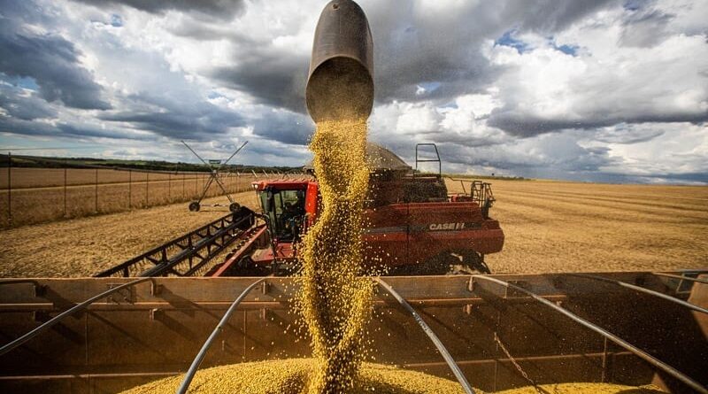 Foto: Wenderson Araujo/CNA