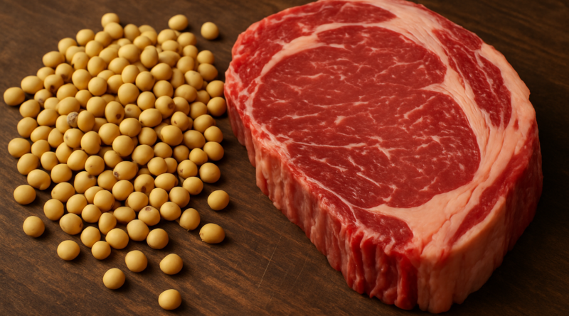 Embarques de carne e soja registram volume recorde de janeiro a julho