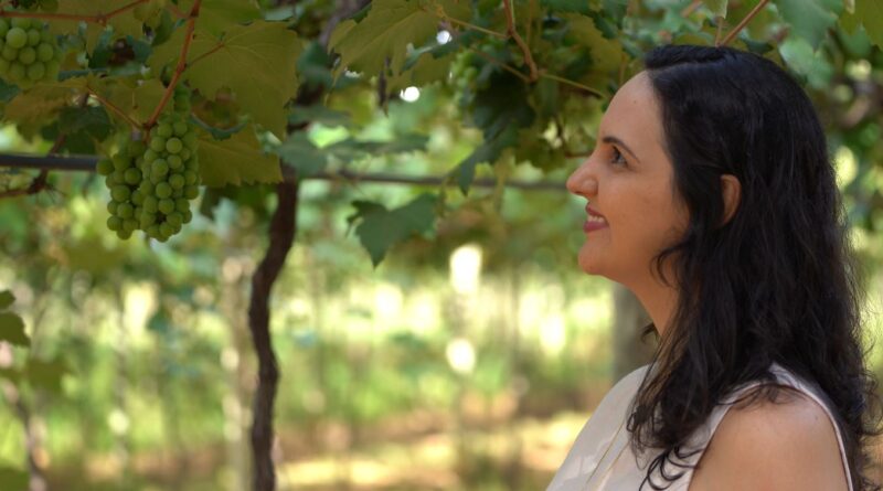 Vinícola impulsiona experiências no enoturismo goiano