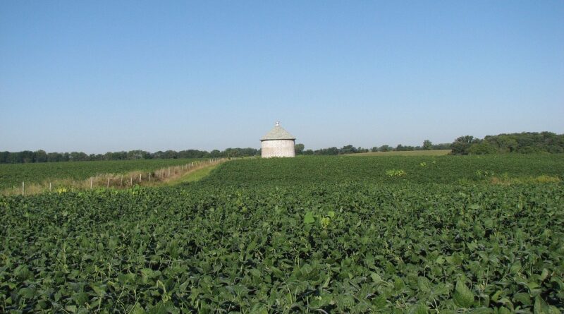 'Ninguém pode punir o produtor de soja dentro da legalidade', afirma o presidente da Aprosoja MT