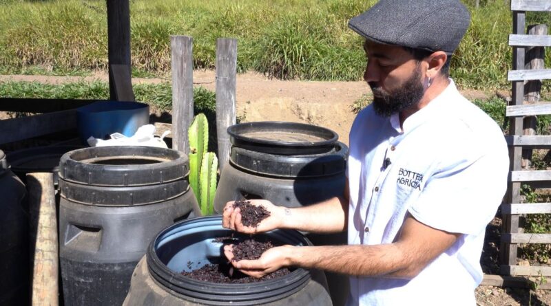 Em Goiás, criação de porcos une inovação e sustentabilidade
