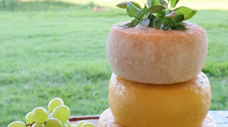 Na foto, há três peças de queijos maturados, ao lado esquerdo da foto, há uvas e no topo dos queijos folhas verdes