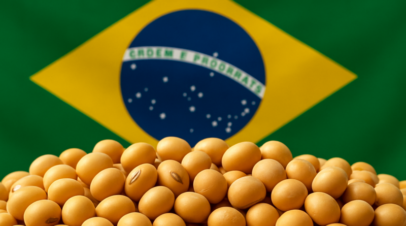 Soja dos EUA à beira do penhasco? Cenário é positivo para grão brasileiro, que dispara na China