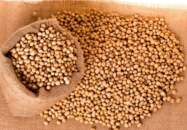 Soja inicia semana com negócios moderados; confira as cotações no Brasil