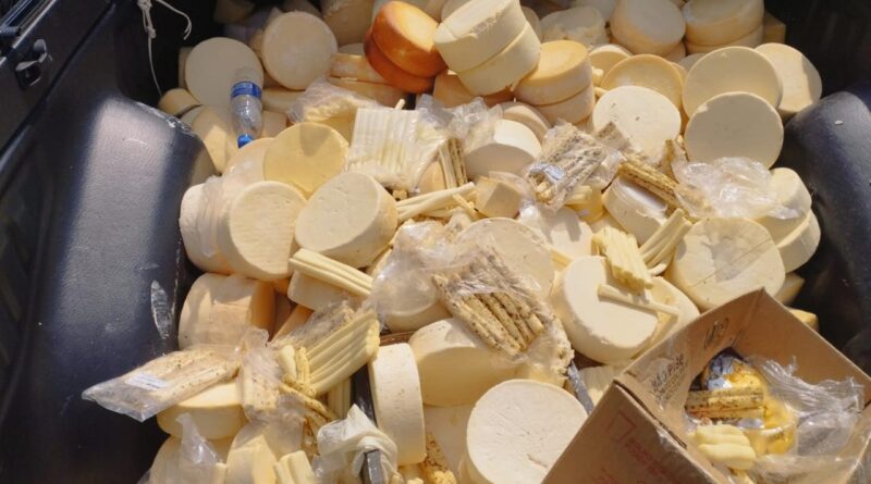 Vigilância Sanitária confisca 270 kg de queijos e manteigas clandestinos