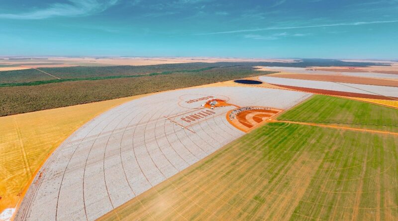 Dia do Algodão discute cadeia produtiva e celebra 25 anos de associação