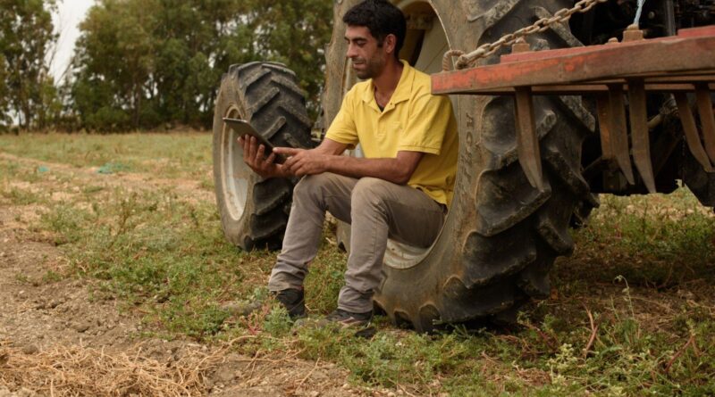 Friboi e Banco Original: parceria garante dinheiro da arroba em 30 minutos