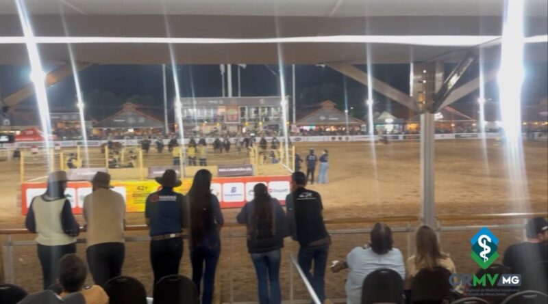Agropecuária com segurança: como o veterinário garante a saúde do gado em exposições
