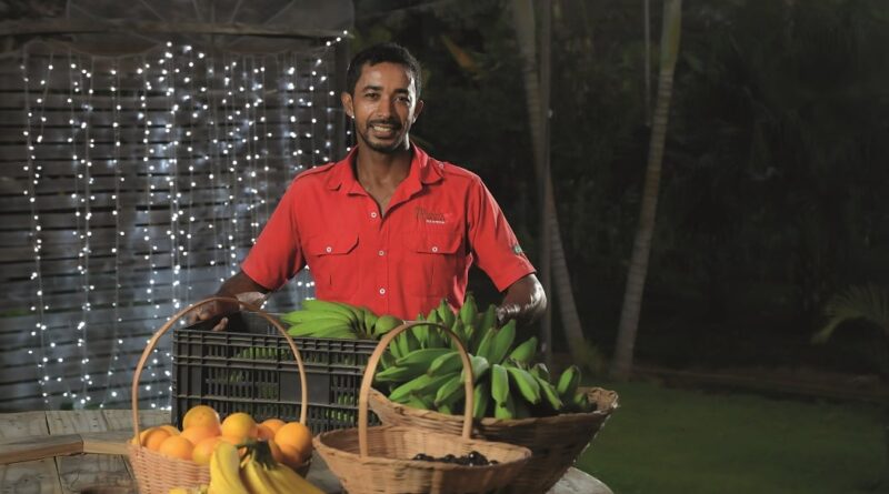 a história que se planta e se colhe no campo