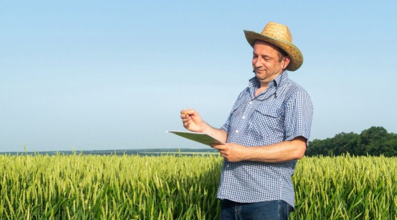 saiba como a isenção para eventos climáticos extremos pode beneficiar produtores