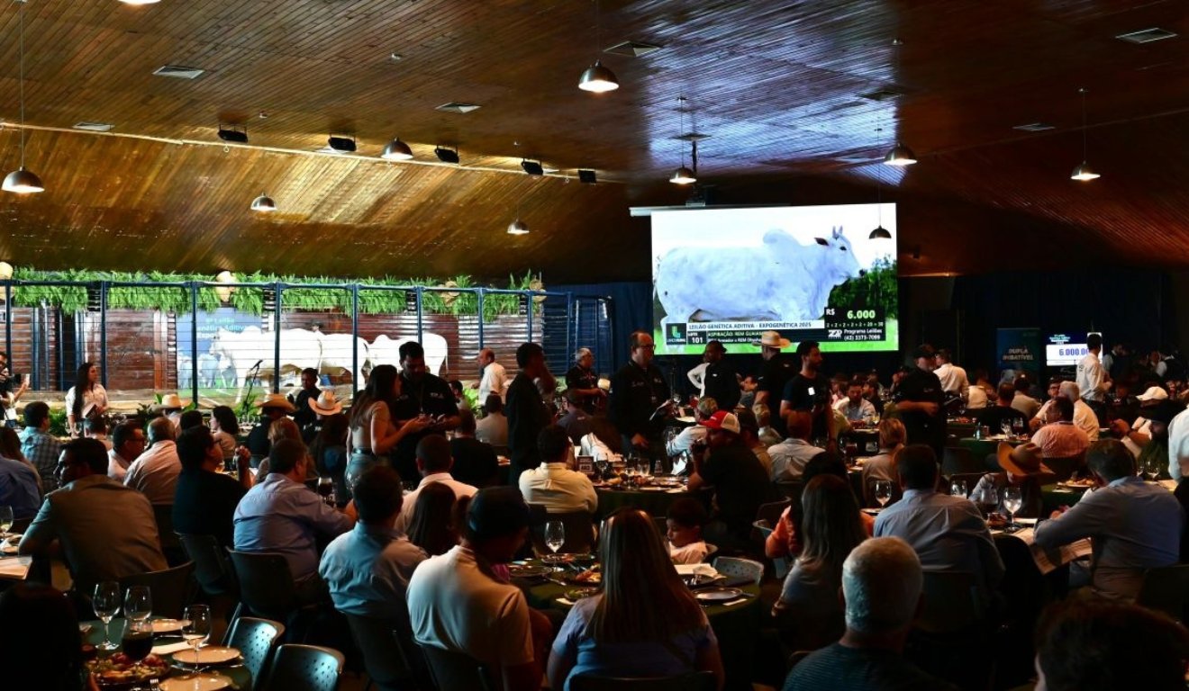 Leilões da ExpoGenética já somam R$ 77,5 milhões em faturamento