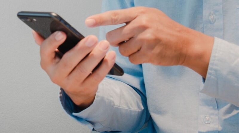 Boi na bolsa: este é o guia para pecuaristas lucrarem com o mercado futuro