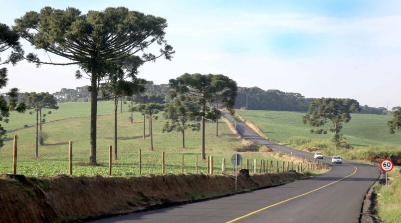 rodovias paraná