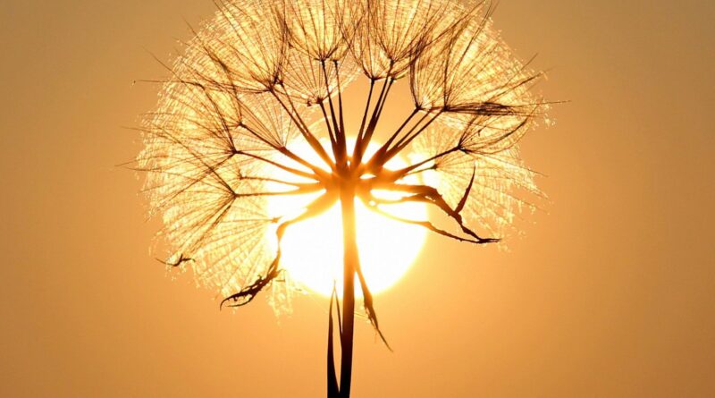 Inmet emite alerta vermelho para baixa umidade do ar em 5 estados e DF