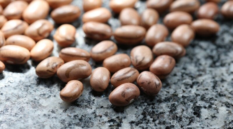 Feijão tem alta de preços generalizada entre as variedades