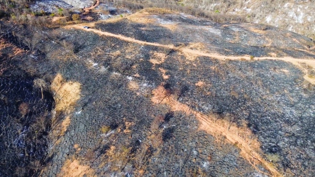 Queimadas no Cerrado ameaçam produção agropecuária, fogo, incêndios florestais