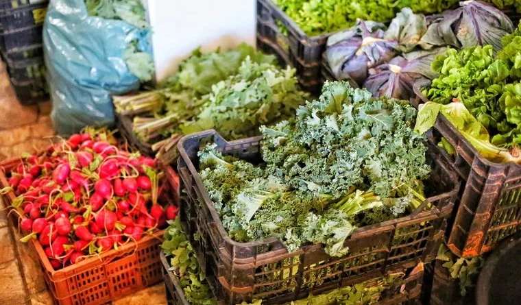 Governo anuncia R$ 76 bilhões em crédito rural no Plano Safra da Agricultura Familiar