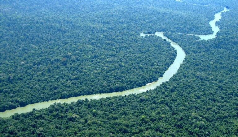 Amazônia e Mata Atlântica