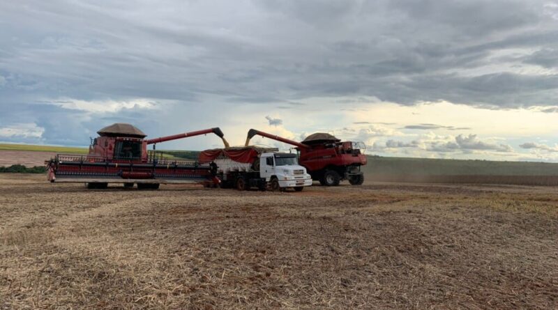 Cade analisará recurso contra a suspensão da Moratória da Soja