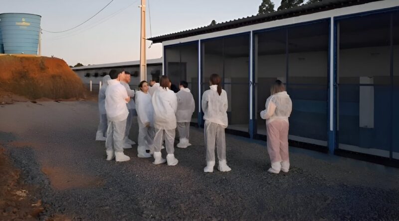 China finaliza auditoria em granjas e frigoríficos do RS