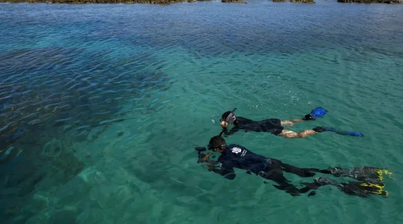 Empresa estuda cepas de Noronha para criar bioinsumos que reduzem impacto ambiental na agricultura