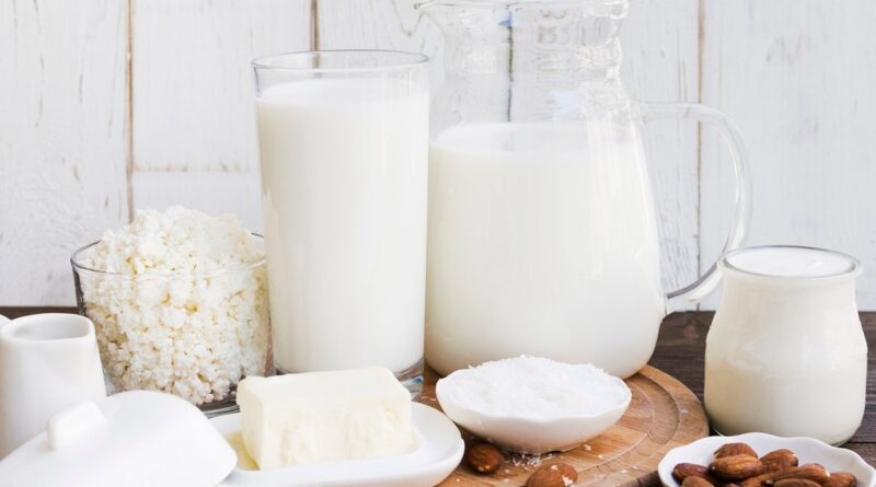 Encontro Baiano de Laticinistas começa nesta quinta (25) em Salvador