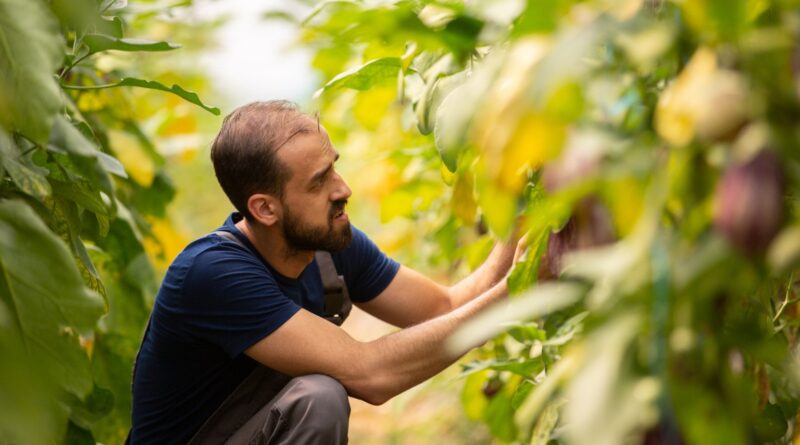 Congresso de Marketing do Agro ABMRA destaca pessoas, processos e tecnologia no setor