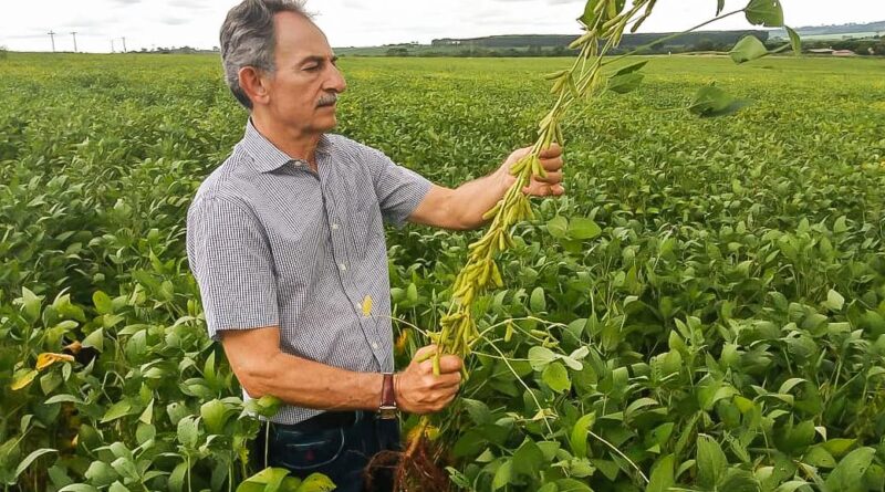 soja Rio Verde goias