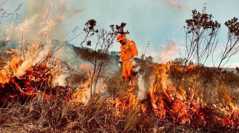 Governo publica regras para prevenção de incêndio florestal em propriedade rural