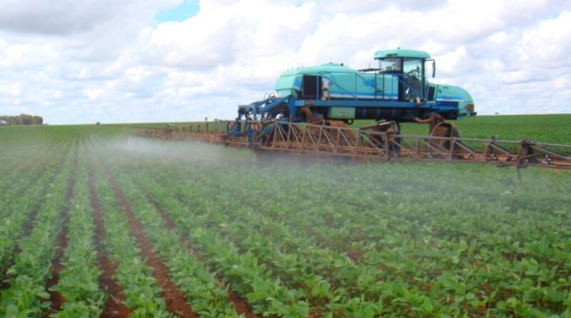 Dicamba pulverização herbicida