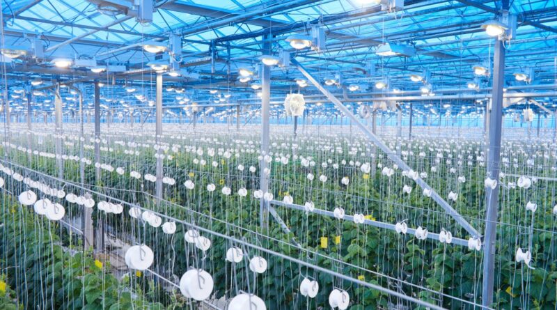 Embrapa realiza primeiro simpósio sobre agricultura espacial