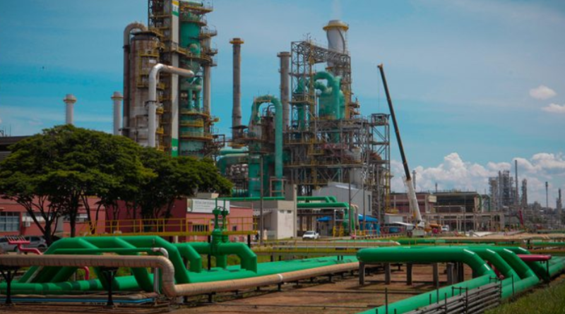 Combustível; Petrobras