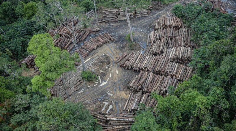 Plano Clima; desmatamento