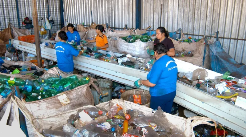 Produção de plástico reciclado cresce 7,8% em 2024, com agroindústria alcançando alta de 35%