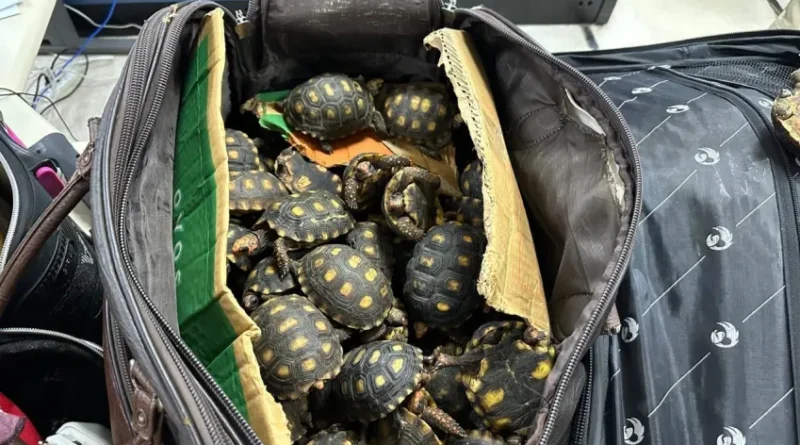 Polícia Civil do Rio de Janeiro