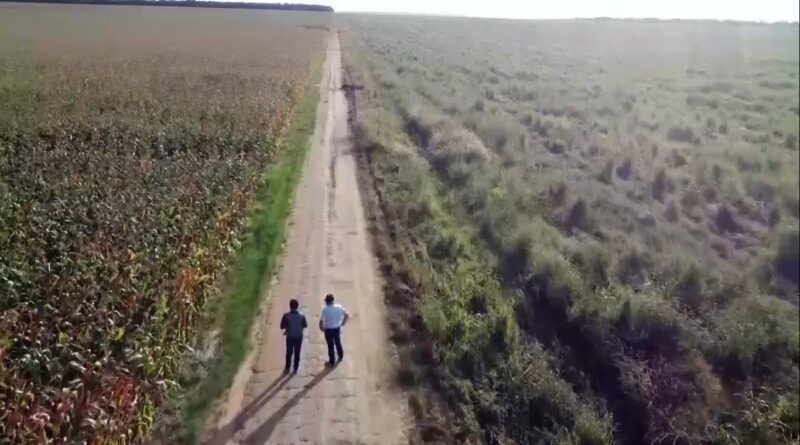 Foto: Pedro Silvestre