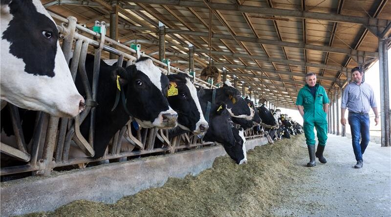 Farmácia da Pecuária Zoetis