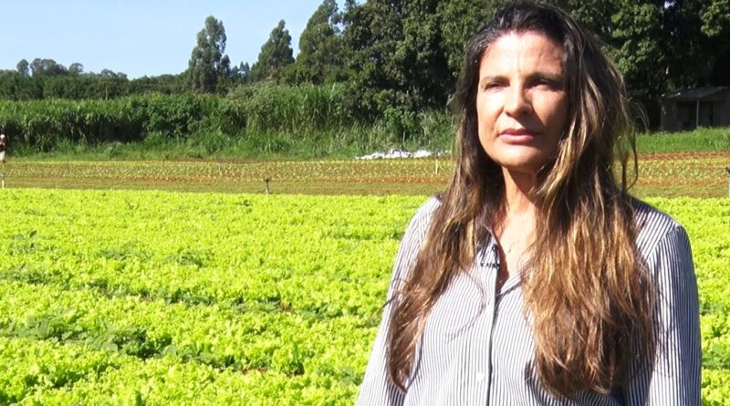 Sebrae impulsiona o crescimento no agronegócio