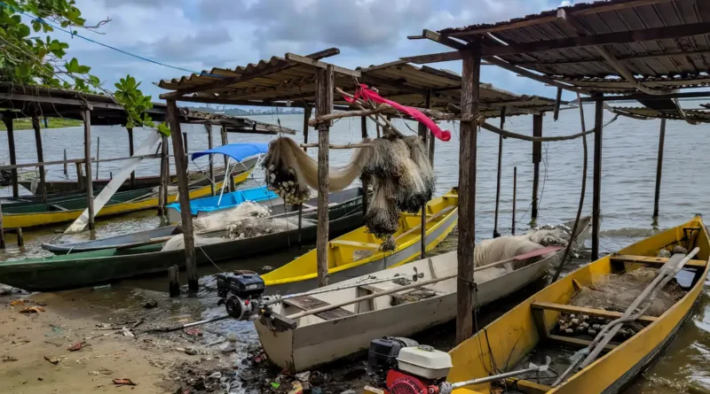 Ministério do Trabalho assume gestão do seguro-defeso a partir de outubro